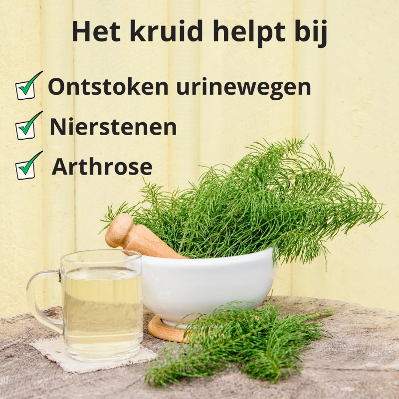 Paardenstaart stengel - 3x70g