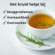 Rozemarijn - 3x70g