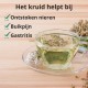 Wit Duizendblad - 3x50g