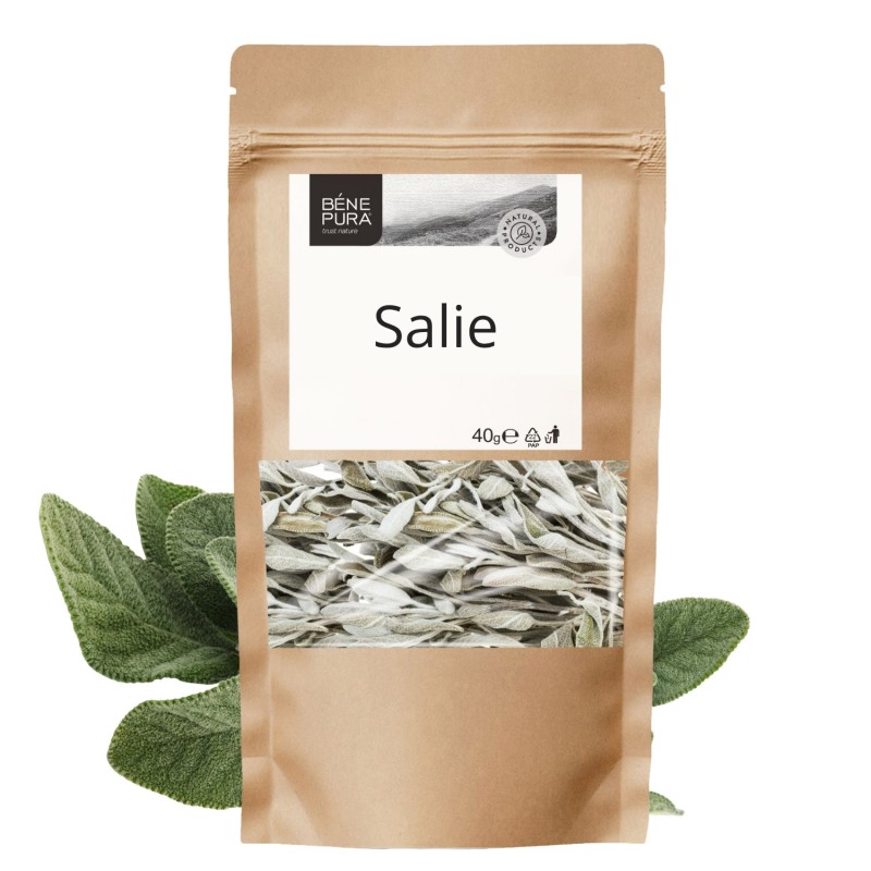 Salie - 3x40g - Kruiden