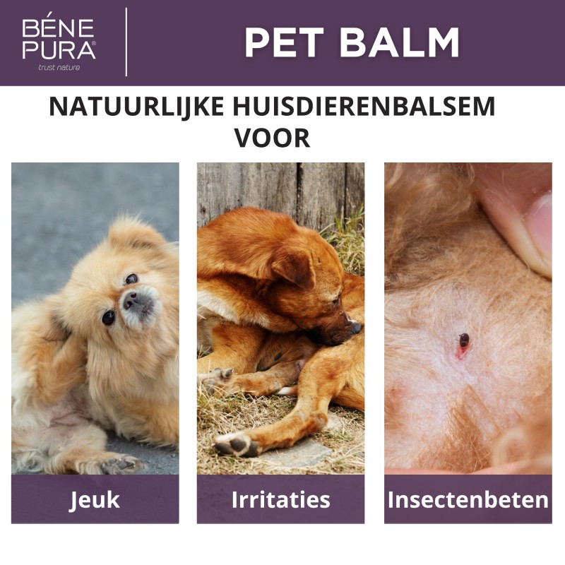 Zalven voor honden Set