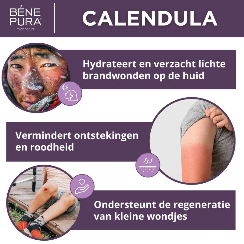 2x Brand- en Wondzalf met Calendula, Aloë Vera en St. Janskruid - 40ml
