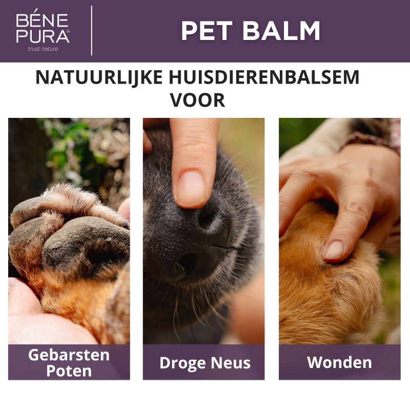 Regenererende Huisdier Balsem met Goudsbloem - 40ml