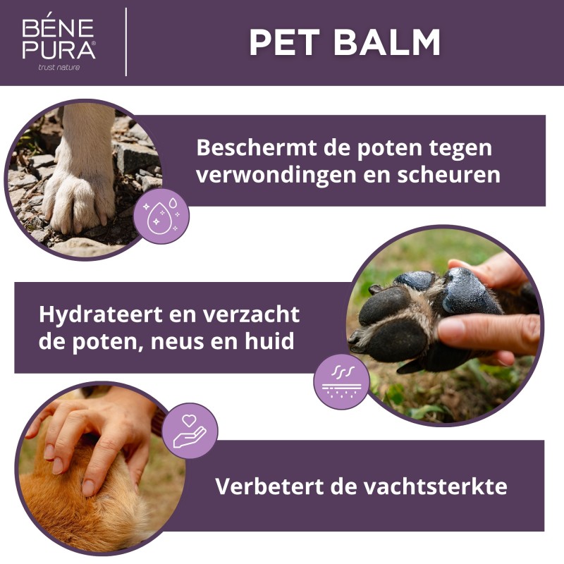 Regenererende Huisdier Balsem met Goudsbloem - 40ml