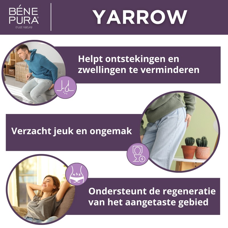 3x Aambeien Zalf met Wit Duizendblad - 40ml