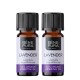 2x Bio Lavendel Etherische olie - 10ml
