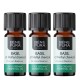 3x Bio Basilicum Etherische olie - 5ml