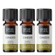 3x Bio Gember Etherische olie - 5ml