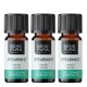 3x Bio Groene Munt Etherische olie - 5ml