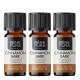 3x Bio Kaneel Etherische olie - 10ml