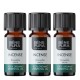 3x Bio Wierook Etherische olie - 10ml