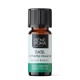 Bio Basilicum Etherische olie - 5ml