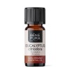 Bio Eucalyptus Citriodora Etherische olie - 5ml