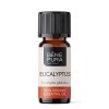 Bio Eucalyptus Globulus Etherische olie - 10ml