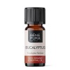 Bio Eucalyptus Radiata Etherische olie - 5ml