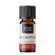 Bio Eucalyptus Radiata Etherische olie - 5ml