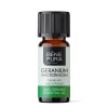 Bio Geranium Etherische olie - 10ml