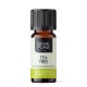 Bio Theeboom Etherische olie - 10ml