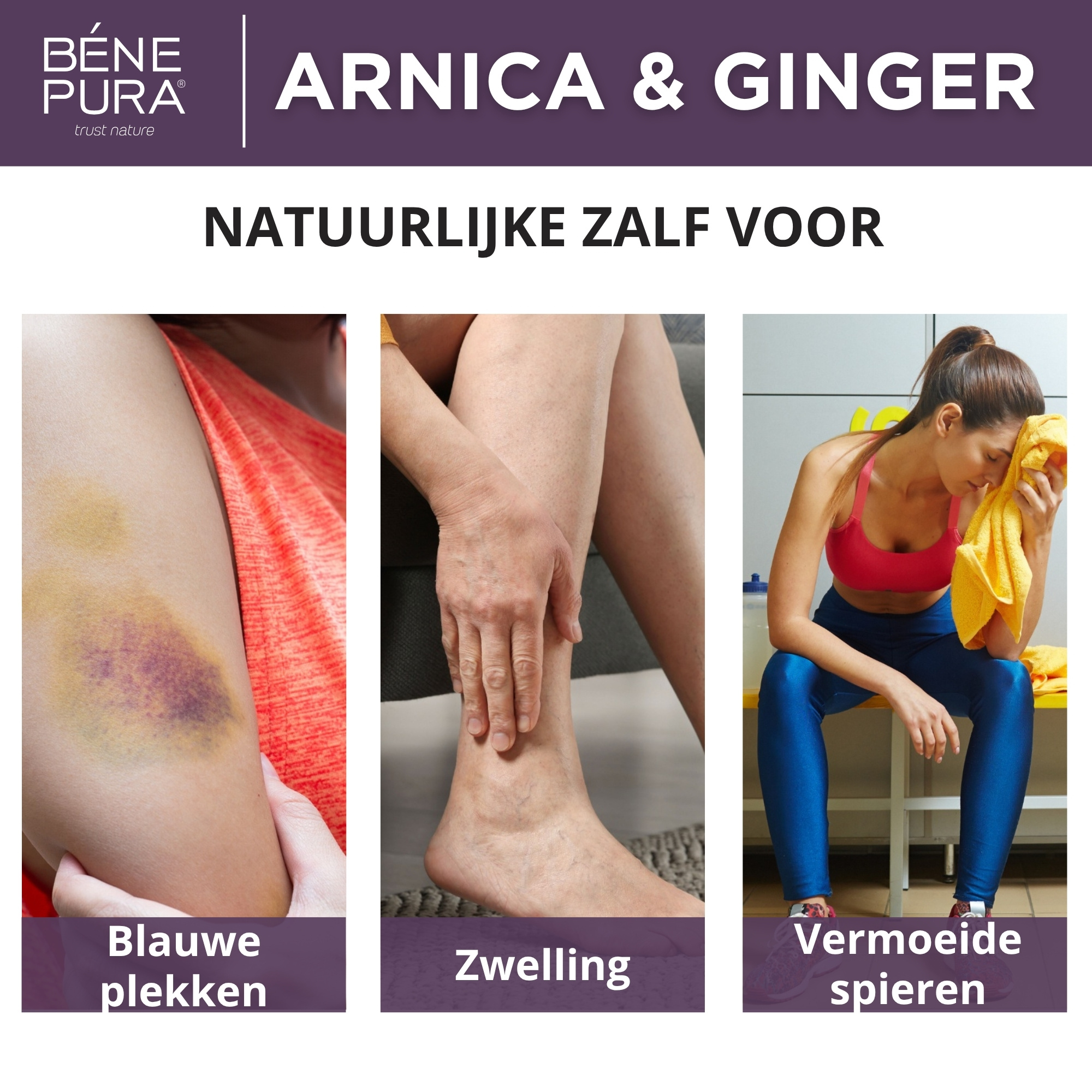 Bloeduitstorting en Spierzalf met Arnica en Gember - 40ml