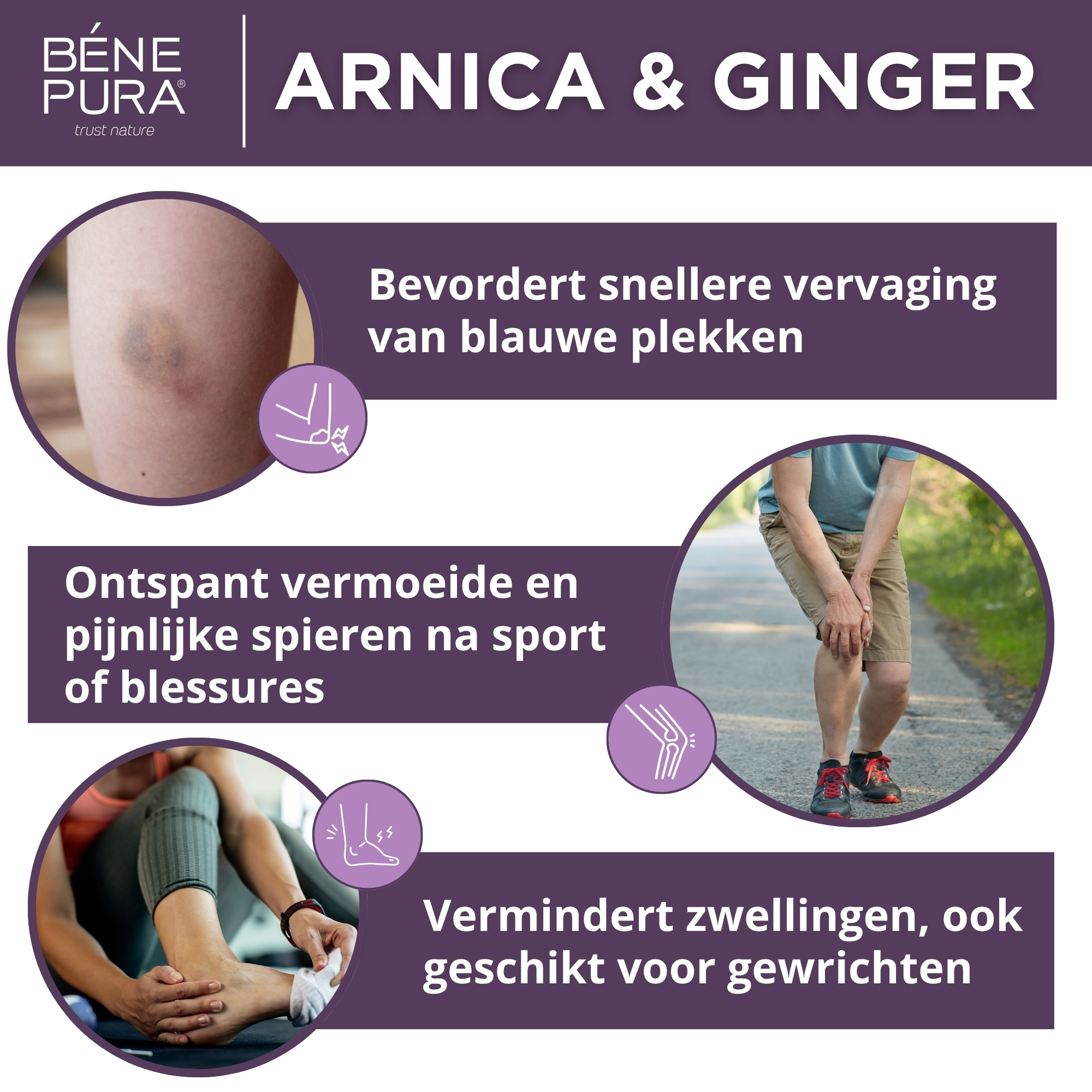 Bloeduitstorting en Spierzalf met Arnica en Gember - 40ml