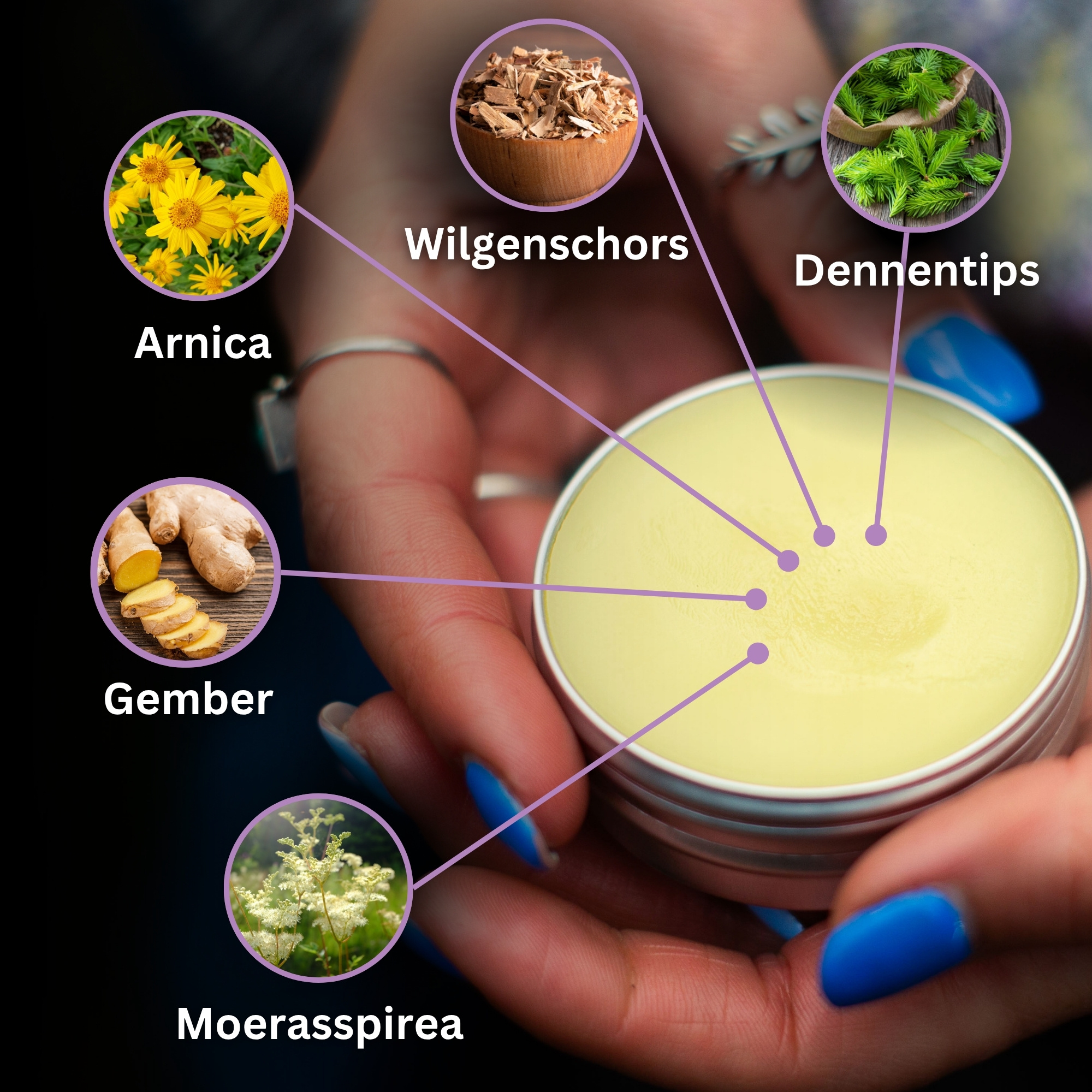 Bloeduitstorting en Spierzalf met Arnica en Gember - 40ml