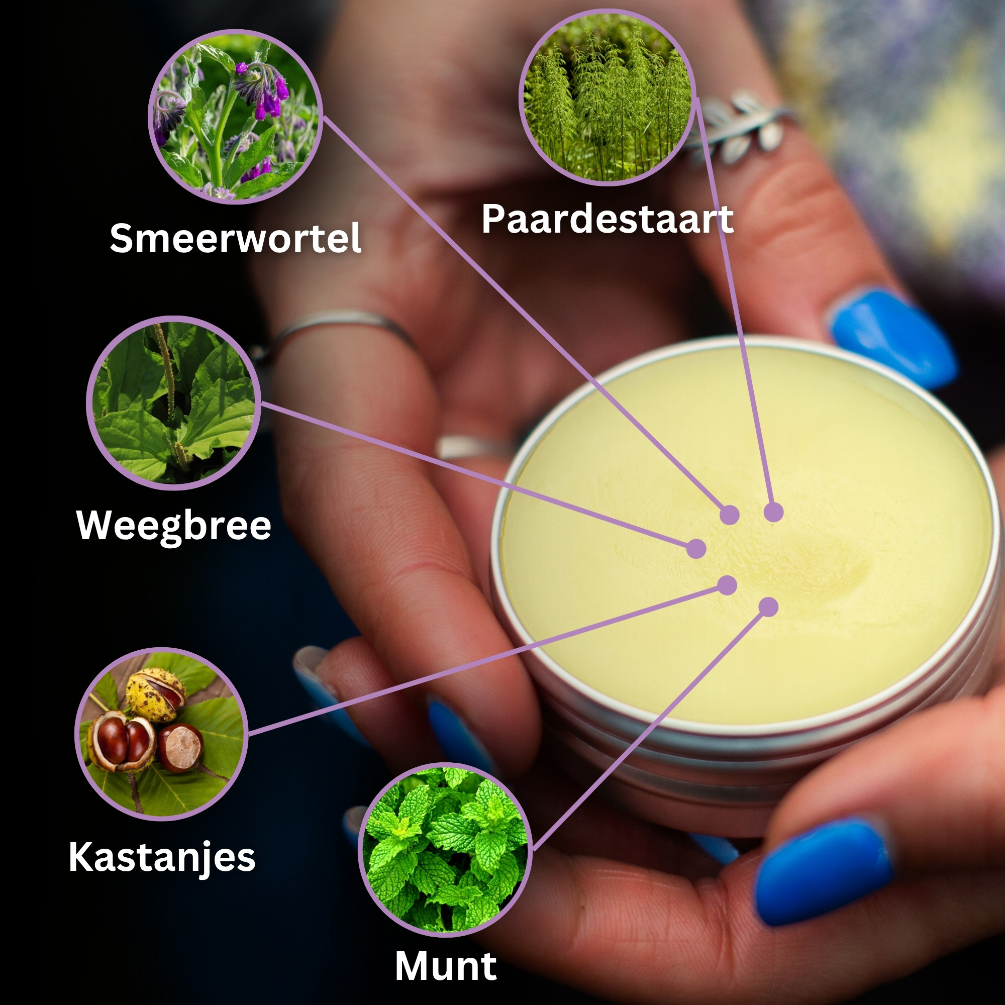 Gewrichtszalf met Smeerwortel - 40ml